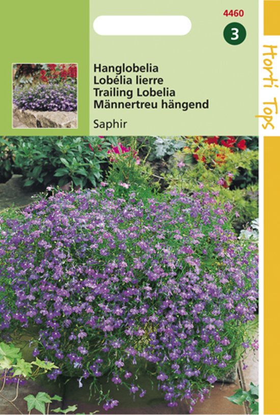 Hngende Mnnertreu Saphir (Lobelia pendula) 7500 Samen